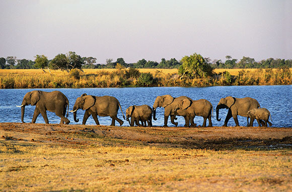 Safaris Bucket-List