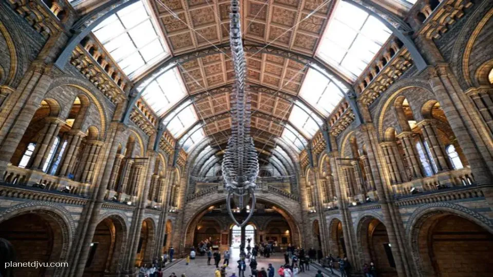 Natural History Museum