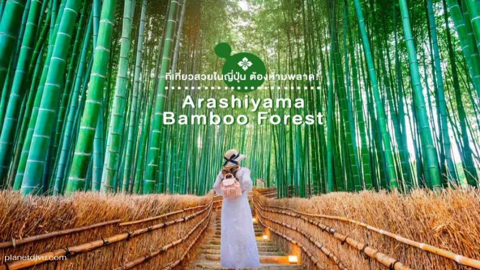 Arashiyama Bamboo Forest