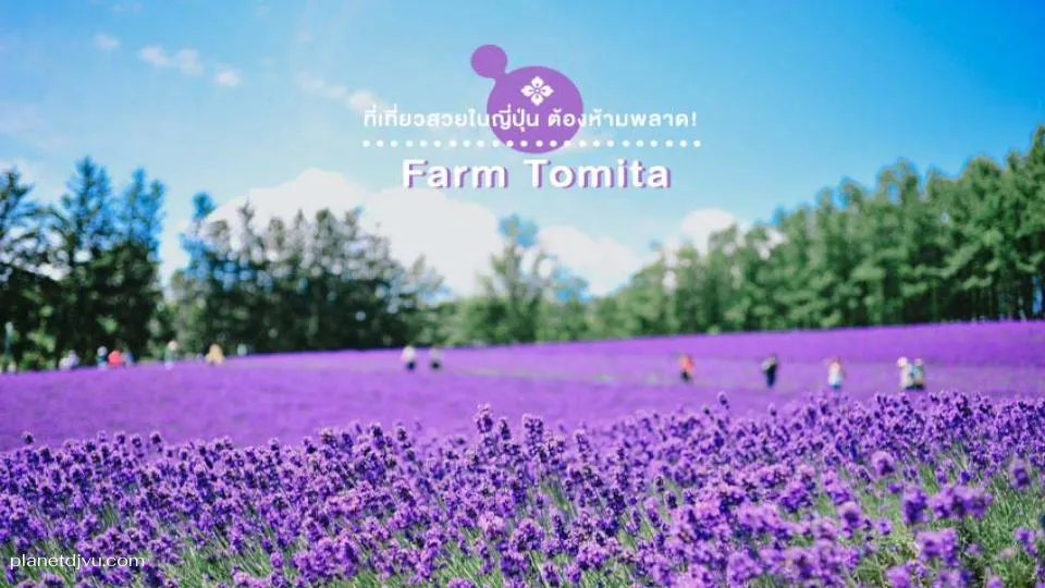 Farm Tomita