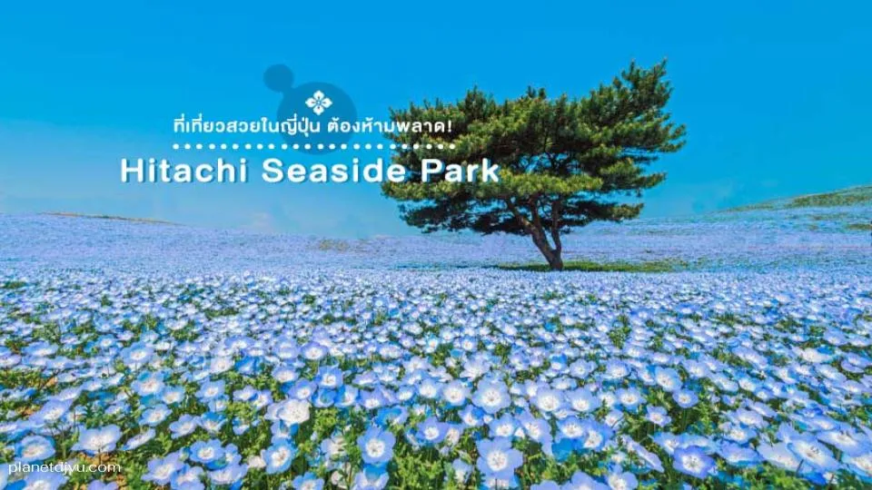 Hitachi Seaside Park