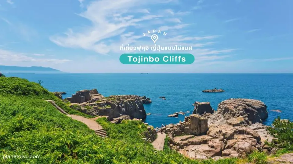Tojinbo Cliffs